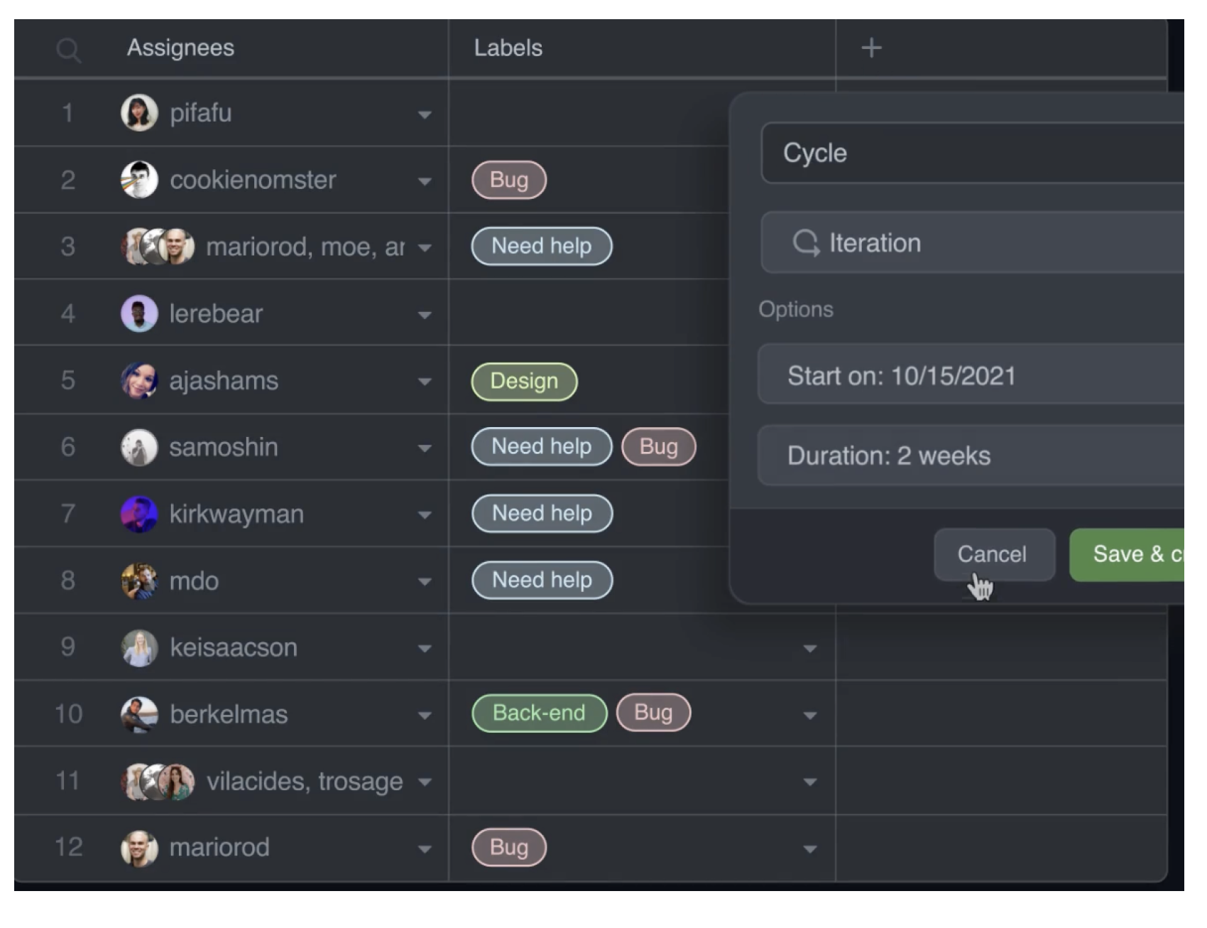 github project fields